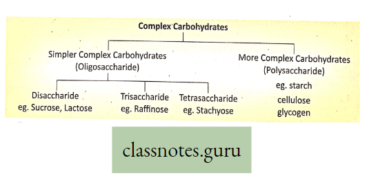 Levels Of Organization Of Life Complex Carbohydrates
