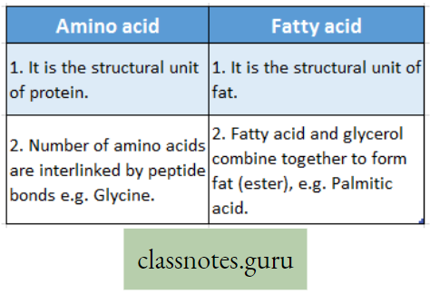 Levels Of Organization Of Life Difference Between Amino Acid And Fatty Acid