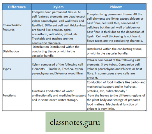 Levels Of Organization Of Life Difference Between Xylem And Phloem