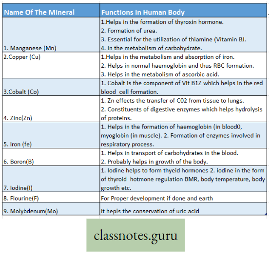 Levels Of Organization Of Life Difference Role of Micromineral in human body