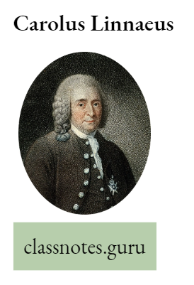 Life And Its Diversity Carolus Linnaeus