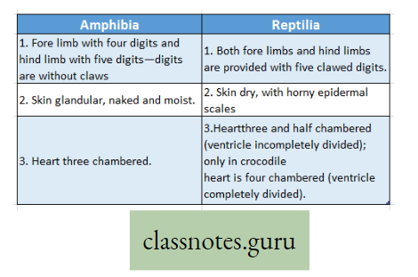 Life And Its Diversity Difference Between Amphibia And Reptilia