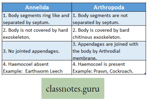 Life And Its Diversity Difference Between Annelida And Arthropoda