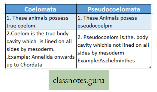 Life And Its Diversity Difference Between Coelomata And Pseudocoelomata