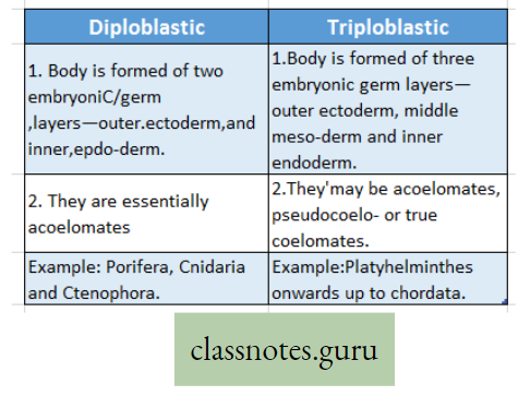 Life And Its Diversity Difference Between Diploblastic And Tripoblostic