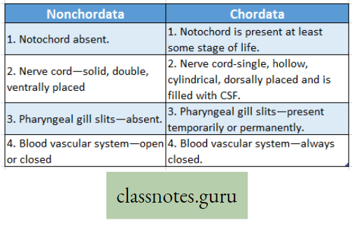 Life And Its Diversity Difference Between Nonchordata And Chordata