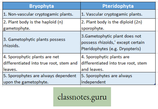 Life And Its Diversity Difference Between bryophyta And Pteridophyta