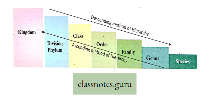 Life And Its Diversity Hierarchy Classification