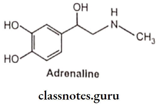 Medical Chemistry Drugs Acting On Autonomic Nervous System Adrenaline 1