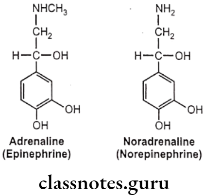 Medical Chemistry Drugs Acting On Autonomic Nervous System Adrenaline