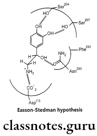 Medical Chemistry Drugs Acting On Autonomic Nervous System Beta hydroxyl group