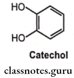 Medical Chemistry Drugs Acting On Autonomic Nervous System Catechol