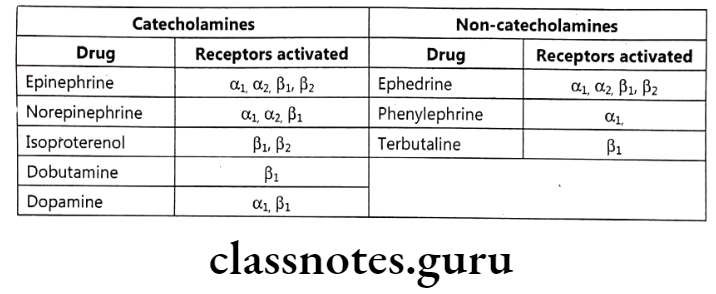 Medical Chemistry Drugs Acting On Autonomic Nervous System Catecholamines
