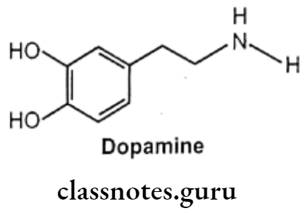Medical Chemistry Drugs Acting On Autonomic Nervous System Dopamine