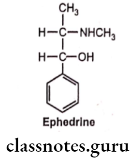 Medical Chemistry Drugs Acting On Autonomic Nervous System Ephedrine