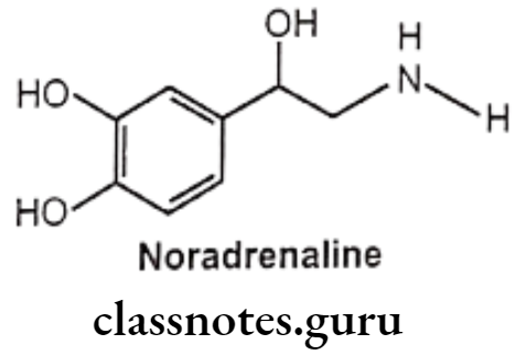 Medical Chemistry Drugs Acting On Autonomic Nervous System Noradrenaline