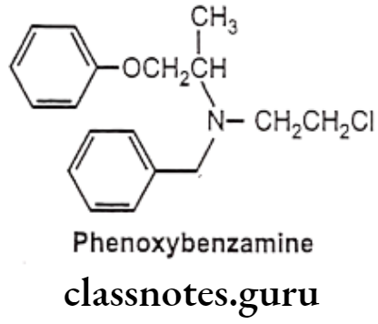 Medical Chemistry Drugs Acting On Autonomic Nervous System Phenoxybenzamine