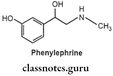Medical Chemistry Drugs Acting On Autonomic Nervous System Phenylephrine