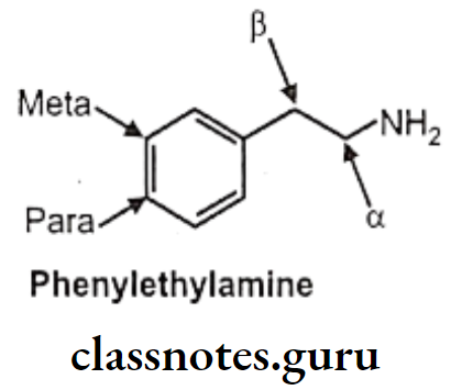 Medical Chemistry Drugs Acting On Autonomic Nervous System Phenylethylamine