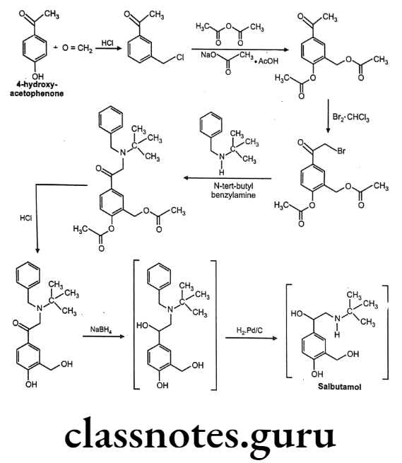 Medical Chemistry Drugs Acting On Autonomic Nervous System Salbutamol Synthesis