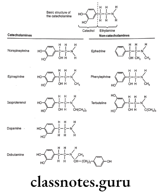 Medical Chemistry Drugs Acting On Autonomic Nervous System Structures of catecholamines and non-catecholamines