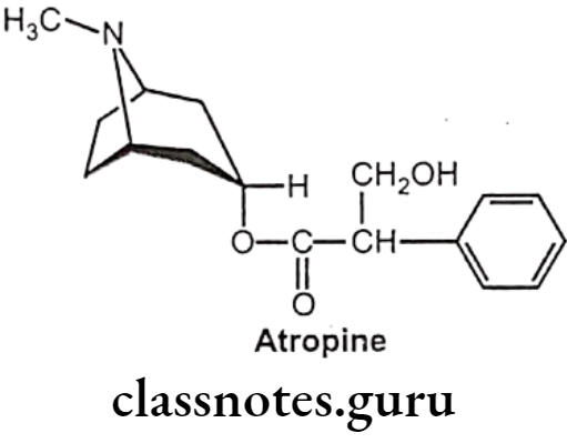 Medicinal Chemistry Drugs Acting On Autonomic Nervous System 2 Atropine Sulphate