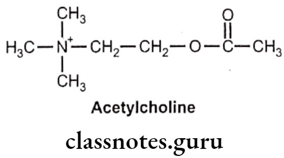 Medicinal Chemistry Drugs Acting On Autonomic Nervous System 2 Choline Ester Acetylcholine