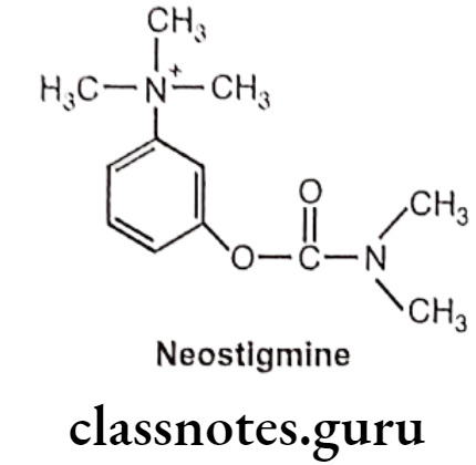 Medicinal Chemistry Drugs Acting On Autonomic Nervous System 2 Cholinesterase Inhibitors Neostigmine