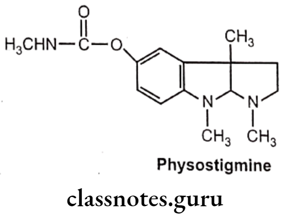 Medicinal Chemistry Drugs Acting On Autonomic Nervous System 2 Cholinesterase Inhibitors Physostigmine