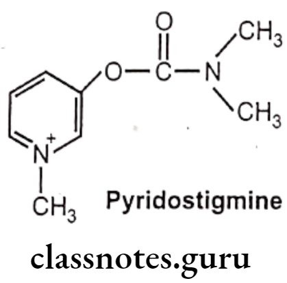 Medicinal Chemistry Drugs Acting On Autonomic Nervous System 2 Cholinesterase Inhibitors Pyridostigmine