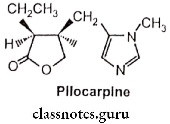 Medicinal Chemistry Drugs Acting On Autonomic Nervous System 2 Cholinomimetic Alkaloids Pilocarpine