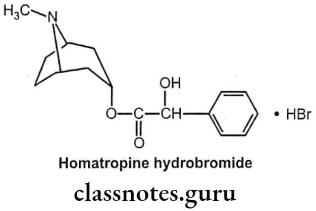 Medicinal Chemistry Drugs Acting On Autonomic Nervous System 2 Homatropine