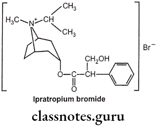 Medicinal Chemistry Drugs Acting On Autonomic Nervous System 2 Ipratropium Bromide