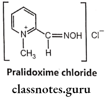 Medicinal Chemistry Drugs Acting On Autonomic Nervous System 2 Pralidoxime Chloride