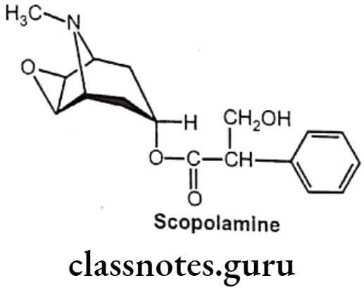 Medicinal Chemistry Drugs Acting On Autonomic Nervous System 2 Scopolamine