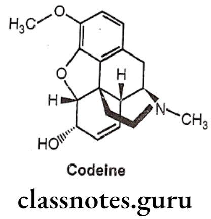 Medicinal Chemistry Drugs Action On Central Nervous System Codeine