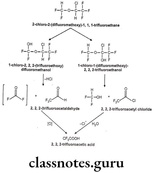 Medicinal Chemistry Drugs Action On Central Nervous System Isoflurane metabolism