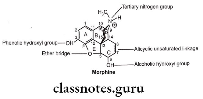 Medicinal Chemistry Drugs Action On Central Nervous System Morphine Analogues