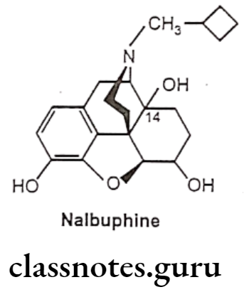 Medicinal Chemistry Drugs Action On Central Nervous System Nalbuphine