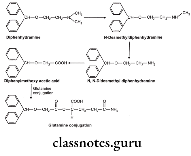 Medicinal Chemistry Introduction To Medicinal Chemistry Glutamine conjugation
