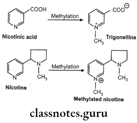 Medicinal Chemistry Introduction To Medicinal Chemistry Methylated nicotine
