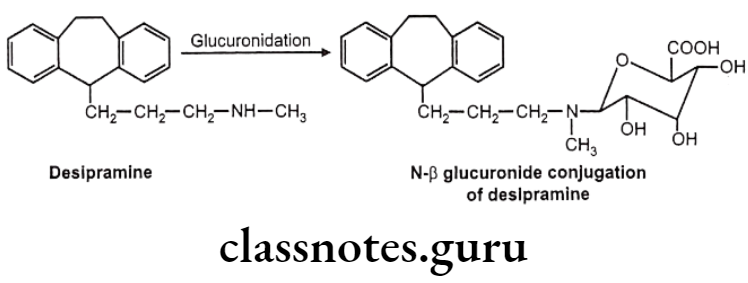 Medicinal Chemistry Introduction To Medicinal Chemistry N-glucuronides