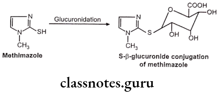 Medicinal Chemistry Introduction To Medicinal Chemistry S-glucuronides