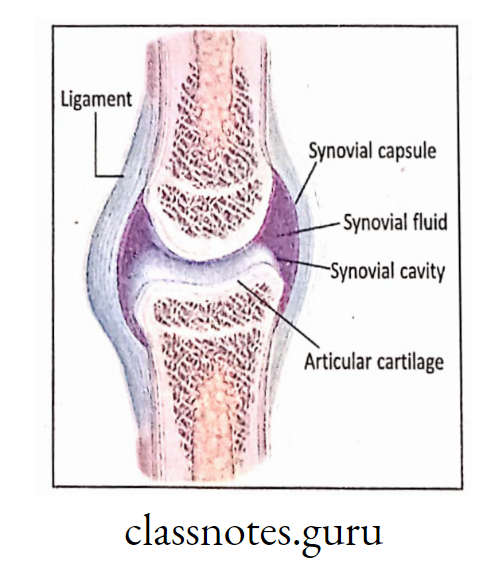 Structure of a movable joint