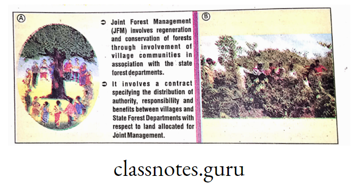 A. Joint Forest Management (JFM); B. Involvement of villagers for JFM.