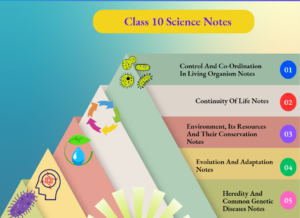 Class 10 Science Notes - Class Notes