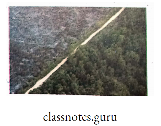 Deforestation—before and after