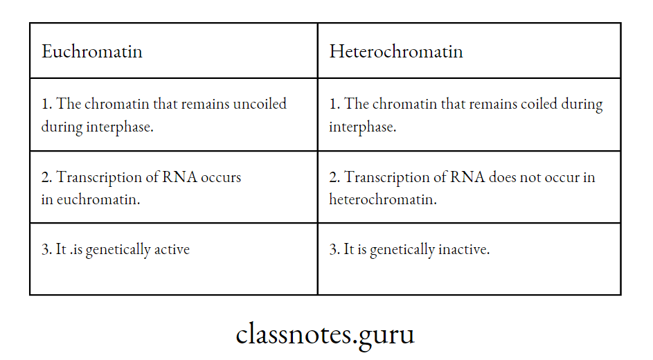 Difference between Euchromatin and Heterochromatin
