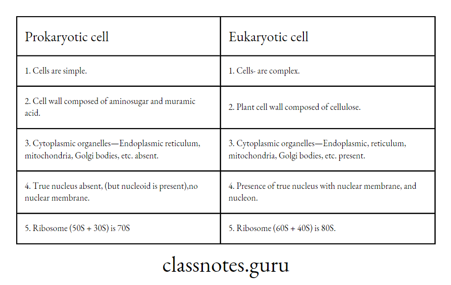 Difference between Prokaryotic and Eukaryotic cell