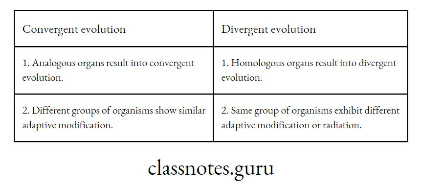 Differences between Convergent and Divergent evolution